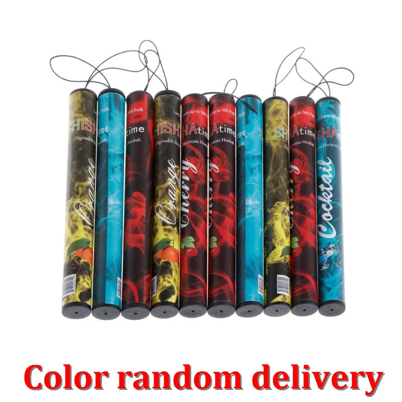 ECT Fruits Flavor 500 Puffs Disposable Vapor Hookah Stick Pen Electronic Cigarette